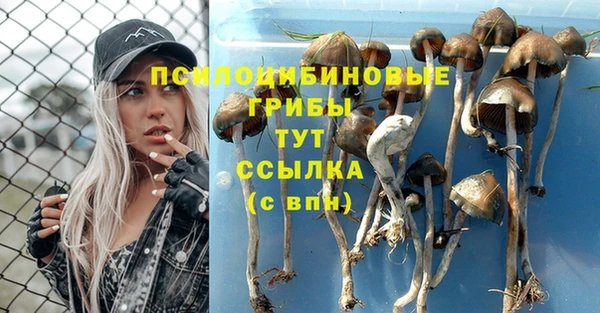 каннабис Аркадак