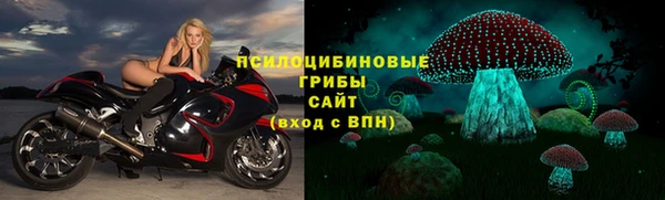 альфа пвп Армянск