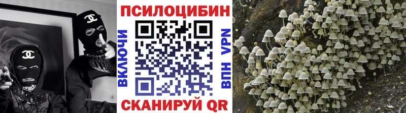 Купить где  Усолье-Сибирское  Галлюциногенные грибы Cubensis 